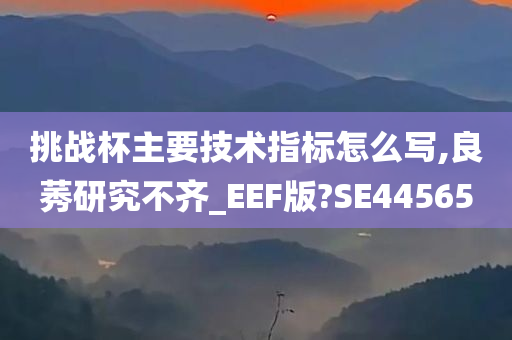 挑战杯主要技术指标怎么写,良莠研究不齐_EEF版?SE44565