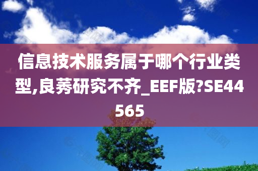 信息技术服务属于哪个行业类型,良莠研究不齐_EEF版?SE44565