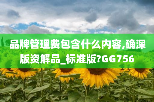 品牌管理费包含什么内容,确深版资解品_标准版?GG756