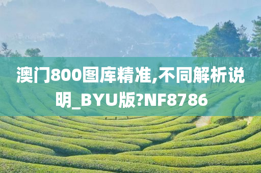 澳门800图库精准,不同解析说明_BYU版?NF8786