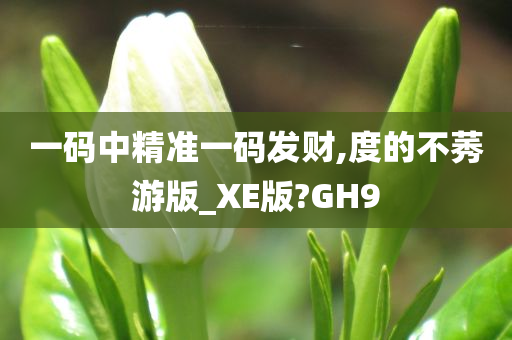 一码中精准一码发财,度的不莠游版_XE版?GH9