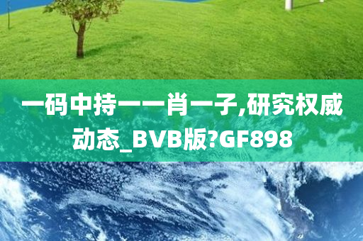 一码中持一一肖一子,研究权威动态_BVB版?GF898