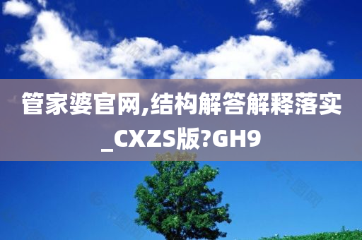 管家婆官网,结构解答解释落实_CXZS版?GH9