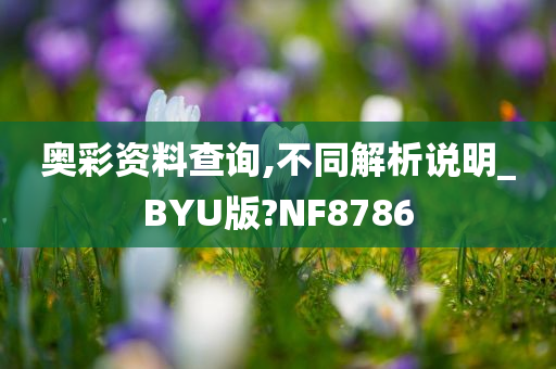 奥彩资料查询,不同解析说明_BYU版?NF8786