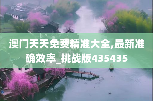 澳门天天免费精准大全,最新准确效率_挑战版435435