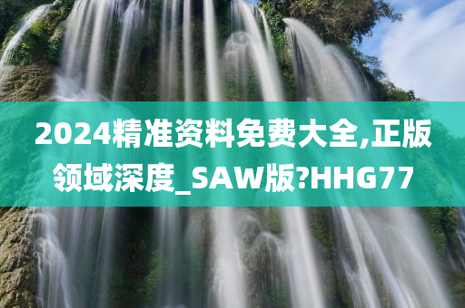 2024精准资料免费大全,正版领域深度_SAW版?HHG77