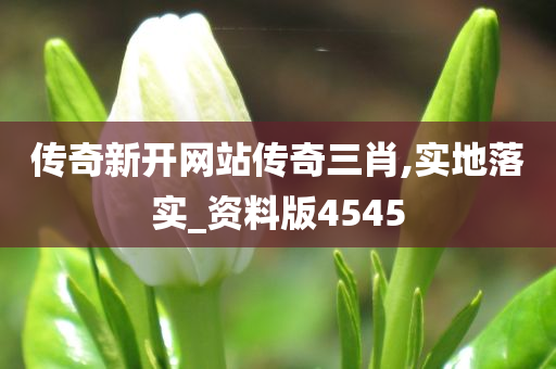 传奇新开网站传奇三肖,实地落实_资料版4545