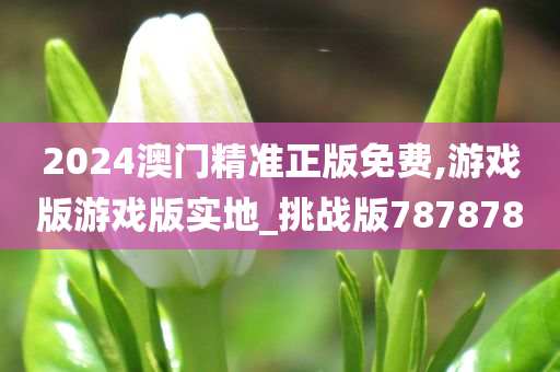 2024澳门精准正版免费,游戏版游戏版实地_挑战版787878