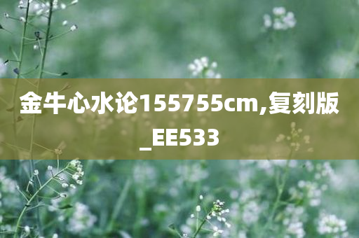 金牛心水论155755cm,复刻版_EE533