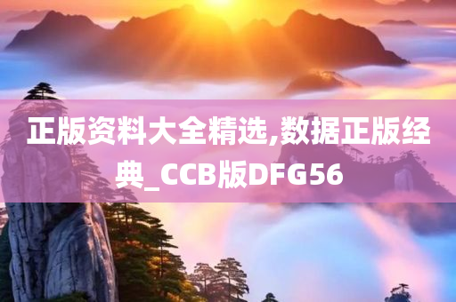 正版资料大全精选,数据正版经典_CCB版DFG56