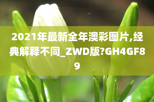 2021年最新全年澳彩图片,经典解释不同_ZWD版?GH4GF89