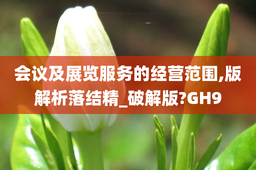 会议及展览服务的经营范围,版解析落结精_破解版?GH9