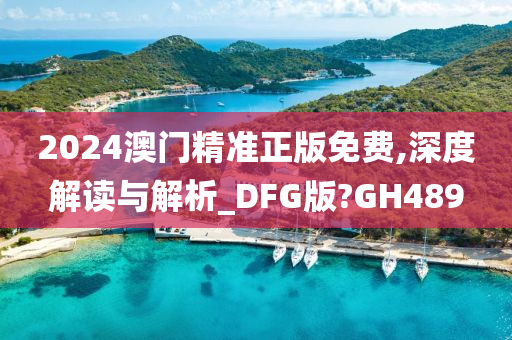 2024澳门精准正版免费,深度解读与解析_DFG版?GH489