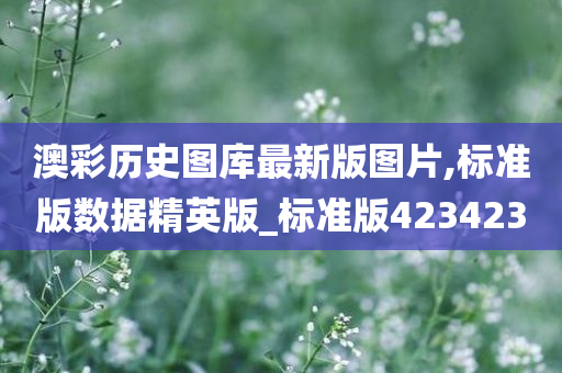 澳彩历史图库最新版图片,标准版数据精英版_标准版423423