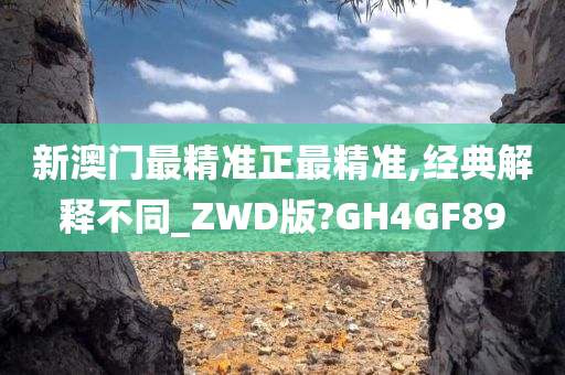 新澳门最精准正最精准,经典解释不同_ZWD版?GH4GF89