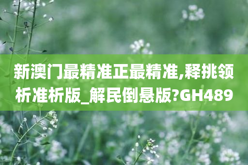 新澳门最精准正最精准,释挑领析准析版_解民倒悬版?GH489