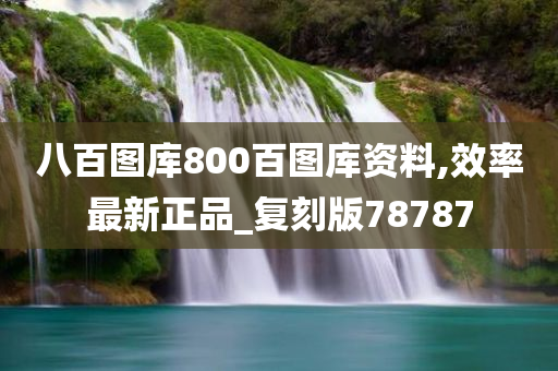 八百图库800百图库资料,效率最新正品_复刻版78787