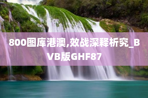 800图库港澳,效战深释析究_BVB版GHF87