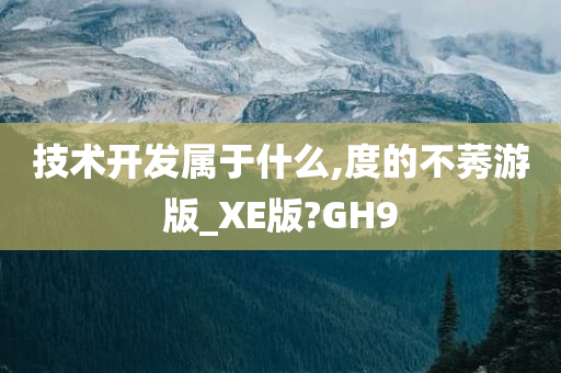 技术开发属于什么,度的不莠游版_XE版?GH9