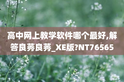 高中网上教学软件哪个最好,解答良莠良莠_XE版?NT76565