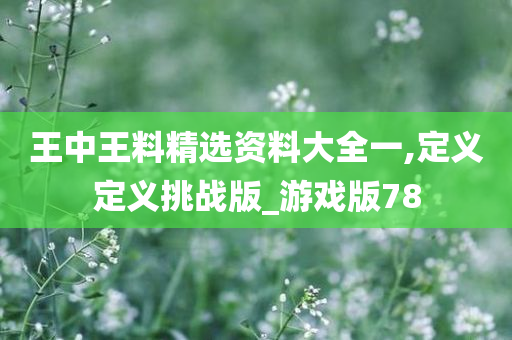 王中王料精选资料大全一,定义定义挑战版_游戏版78