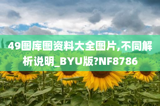 49图库图资料大全图片,不同解析说明_BYU版?NF8786