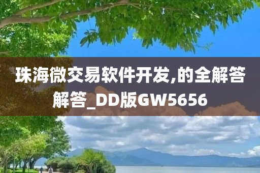 珠海微交易软件开发,的全解答解答_DD版GW5656