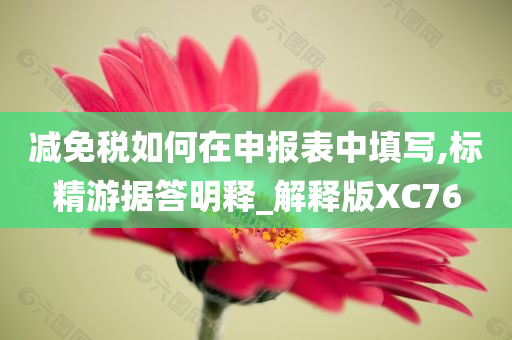 减免税如何在申报表中填写,标精游据答明释_解释版XC76