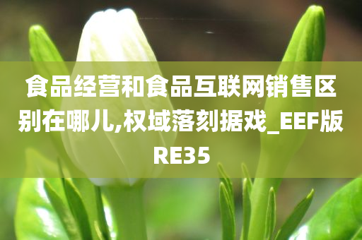 食品经营和食品互联网销售区别在哪儿,权域落刻据戏_EEF版RE35