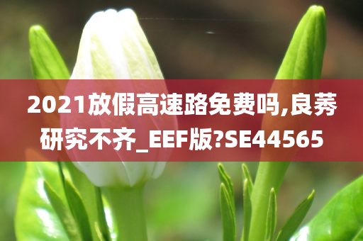 2021放假高速路免费吗,良莠研究不齐_EEF版?SE44565