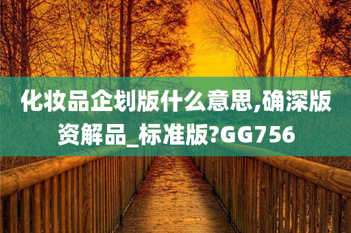 化妆品企划版什么意思,确深版资解品_标准版?GG756