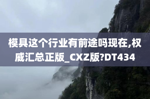 模具这个行业有前途吗现在,权威汇总正版_CXZ版?DT434