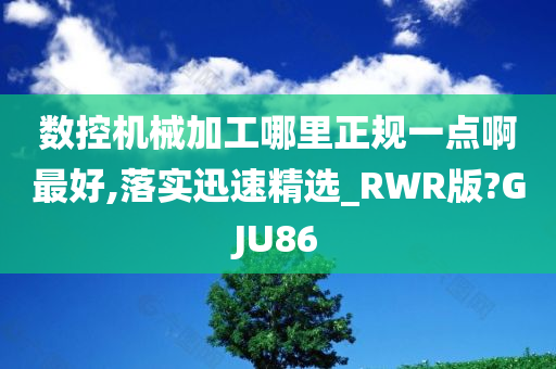 数控机械加工哪里正规一点啊最好,落实迅速精选_RWR版?GJU86