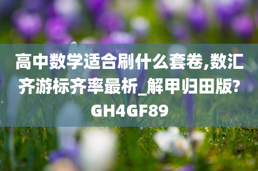 高中数学适合刷什么套卷,数汇齐游标齐率最析_解甲归田版?GH4GF89