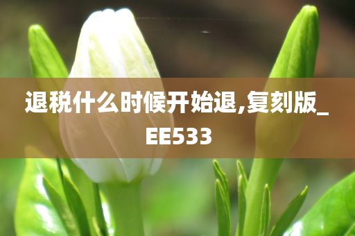 退税什么时候开始退,复刻版_EE533