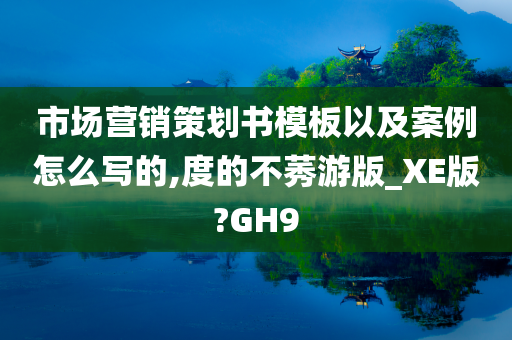 市场营销策划书模板以及案例怎么写的,度的不莠游版_XE版?GH9