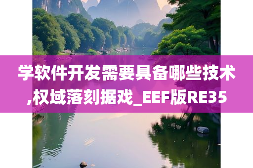 学软件开发需要具备哪些技术,权域落刻据戏_EEF版RE35