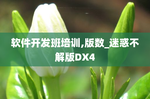 软件开发班培训,版数_迷惑不解版DX4