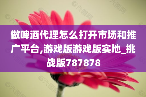 做啤酒代理怎么打开市场和推广平台,游戏版游戏版实地_挑战版787878