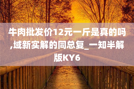 牛肉批发价12元一斤是真的吗,域新实解的同总复_一知半解版KY6