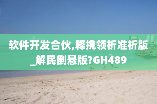 软件开发合伙,释挑领析准析版_解民倒悬版?GH489