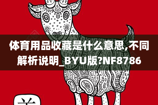 体育用品收藏是什么意思,不同解析说明_BYU版?NF8786