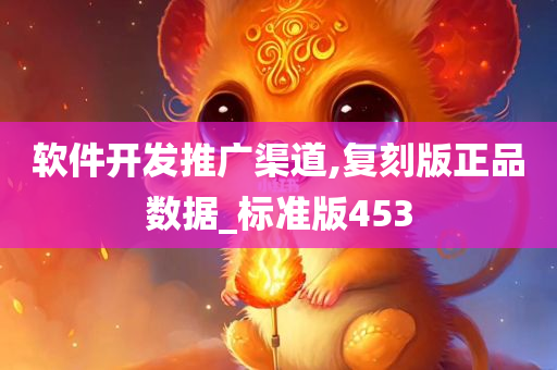 软件开发推广渠道,复刻版正品数据_标准版453