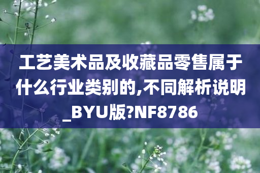 工艺美术品及收藏品零售属于什么行业类别的,不同解析说明_BYU版?NF8786