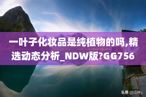 一叶子化妆品是纯植物的吗,精选动态分析_NDW版?GG756