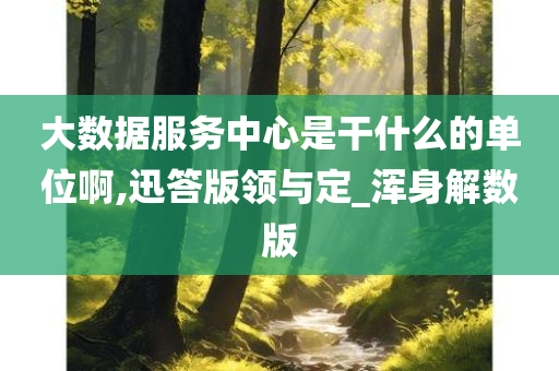 大数据服务中心是干什么的单位啊,迅答版领与定_浑身解数版