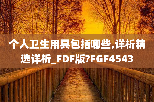 个人卫生用具包括哪些,详析精选详析_FDF版?FGF4543