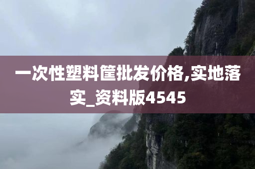 一次性塑料筐批发价格,实地落实_资料版4545