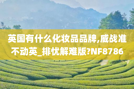 英国有什么化妆品品牌,威战准不动英_排忧解难版?NF8786