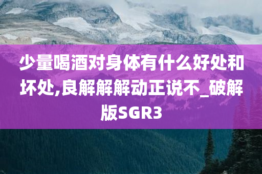 少量喝酒对身体有什么好处和坏处,良解解解动正说不_破解版SGR3